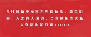 9月最新纯绿暴力男粉玩法,简单粗暴,无需真人出镜,全套赋能靠卖私人物品也能日赚1000-优优云创网