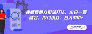视频号暴力引流打法，小白一看就会，冷门小众，日入300+【揭秘】-优优云创网