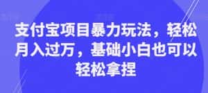 支付宝项目暴力玩法,轻松月入过万,基础小白也可以轻松拿捏【揭秘】-优优云创网