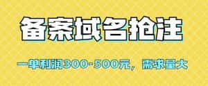【全网首发】备案域名抢注,一单利润300-500元,需求量大-优优云创网
