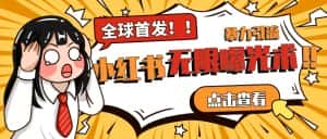 全网首发-小红书无限曝光术pro版全领域粉丝精准拿下-优优云创网