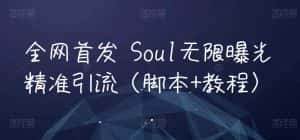 全网首发 Soul无限曝光精准引流（脚本+教程）-优优云创网