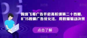 跨境飞哥广告开启高阶课第二十四期,8*15数模广告优化法,用数据驱动决策-优优云创网