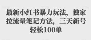 最新小红书暴力玩法,独家拉流量笔记方法,三天新号轻松100单【揭秘】-优优云创网