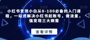 小红书变现小白从0-100必备的入门课程，一站式解决小红书起账号，做流量，强变现三大刚需-优优云创网
