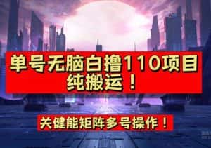 9月全网首发,单号直接白撸110!可多号操作,无脑搬运复制粘贴【揭秘】-优优云创网
