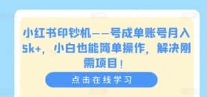 小红书印钞机——号成单账号月入5k+，小白也能简单操作，解决刚需项目【揭秘】-优优云创网