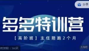 纪主任·多多特训营高阶班【9月13日更新】,拼多多最新玩法技巧落地实操-优优云创网