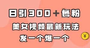 日引300+男粉,美女视频最新玩法,发一个爆一个【揭秘】-优优云创网