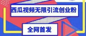 独家首发，西瓜视频无限引流任何精准粉脚本【脚本+教程】-优优云创网