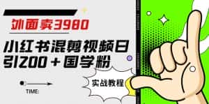 外面卖3980小红书混剪视频日引200+国学粉实战教程【揭秘】-优优云创网
