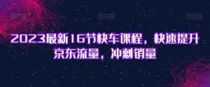 2023最新16节快车课程,快速提升京东流量,冲刺销量-优优云创网