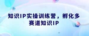 知识IP实操训练营，​孵化多赛道知识IP-优优云创网