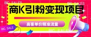 商K引粉变现项目,高客单价精准流量【揭秘】-优优云创网