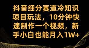 抖音细分赛道冷知识项目玩法，10分钟快速制作一个视频，新手小白也能月入1W+【揭秘】-优优云创网