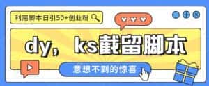 全网首发抖音快手全自动直播间截留创业粉，全行业精准粉技术【脚本+教程】-优优云创网