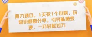 暴力项目，1天花1个小时，玩知识截图分享，引导私域变现，一月轻松过万【截图】-优优云创网