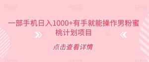 一部手机日入1000+有手就能操作男粉蜜桃计划项目【揭秘】-优优云创网