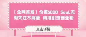 【全网首发】价值5000 Soul无限关注不屏蔽​精准引流创业粉-优优云创网