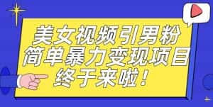 价值3980的男粉暴力引流变现项目,一部手机简单操作,新手小白轻松上手,每日收益500+【揭秘】-优优云创网