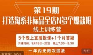 打造淘系非标全店N多个爆款线上课,5天直播课-优优云创网
