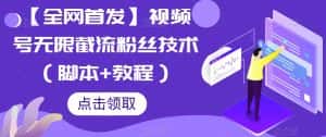 【全网首发】视频号无限截流粉丝技术（脚本+教程）-优优云创网