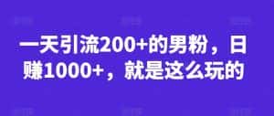 一天引流200+的男粉,日赚1000+,就是这么玩的【揭秘】-优优云创网