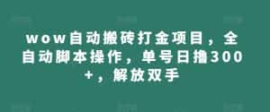 wow自动搬砖打金项目,全自动脚本操作,单号日撸300+,解放双手【揭秘】-优优云创网