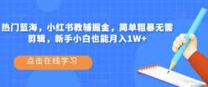 热门蓝海,小红书教辅掘金,简单粗暴无需剪辑,新手小白也能月入1W+【揭秘】-优优云创网