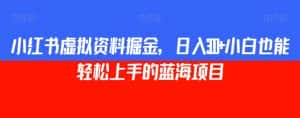小红书虚拟资料掘金,日入300+小白也能轻松上手的蓝海项目【揭秘】-优优云创网