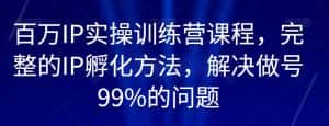 百万IP实操训练营课程,完整的IP孵化方法,解决做号99%的问题-优优云创网
