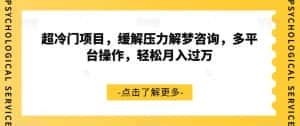 超冷门项目，缓解压力解梦咨询，多平台操作，轻松月入过万【揭秘】-优优云创网