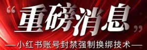 【最新】小红书账号封禁强制换绑技术可日赚300-优优云创网