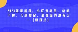 2023蓝海项目,小红书商单,快速千粉,长期稳定,最强蓝海没有之一(新玩法)-优优云创网