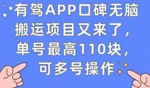 有驾APP口碑无脑搬运项目又来了，单号最高110块，可多号操作-优优云创网