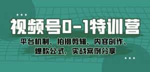 视频号0-1特训营:平台机制、拍摄剪辑、内容创作、爆款公式,实战案例分享-优优云创网