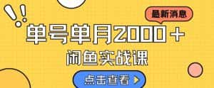 最新闲鱼日入500＋，虚拟资料变现喂饭级讲解-优优云创网