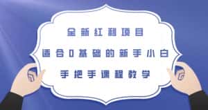 全新红利项目，适合0基础的新手小白，手把手课程教学【揭秘】-优优云创网