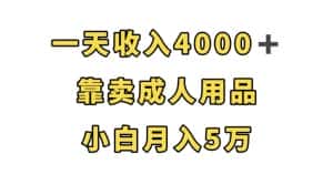 一天收入4000+,靠卖成人用品,小白轻松月入5万【揭秘】-优优云创网