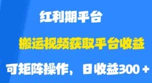 搬运视频获取平台收益,平台红利期,附保姆级教程【揭秘】-优优云创网