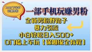 2023全新男粉野路子暴力引流，小白轻松日入500+，全新野路子玩法，0门槛上车玩【保姆级全教程】-优优云创网