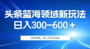 AI头条野路子蓝海领域新玩法2.0，日入300-600＋，附保姆级教程【揭秘】-优优云创网