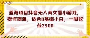 蓝海项目抖音无人美女播小游戏，操作简单，适合0基础小白，一周收益2500【揭秘】-优优云创网