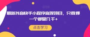 最新抖音快手小程序变现项目,只要爆一个都是几千+-优优云创网