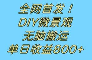 全网首发冷门赛道！DIY微景观，无脑搬运视频，日收益800+【揭秘】-优优云创网