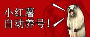 小红书养号秘籍,如何自动涨粉清晰系统标签打造高权重账号【揭秘】-优优云创网