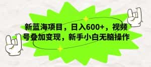 新蓝海项目,日入600+,视频号叠加变现,新手小白无脑操作【揭秘】-优优云创网