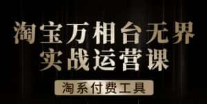 沧海·淘系万相台无界实战运营课,万相台无界实操全案例解析-优优云创网