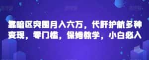 靠暗区突围月入六万，代肝护航多种变现，零门槛，保姆教学，小白必入【揭秘】-优优云创网