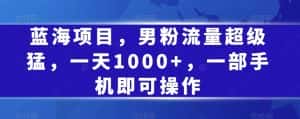 蓝海项目,男粉流量超级猛,一天1000+,一部手机即可操作【揭秘】-优优云创网